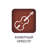 Камерный оркестр